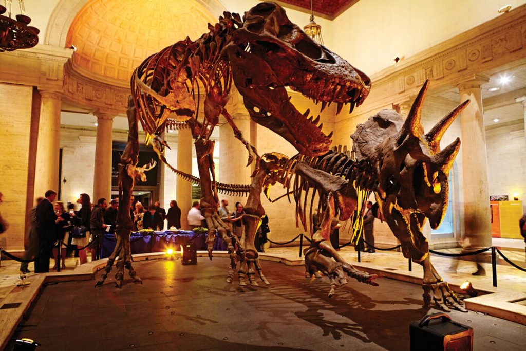 Natural History Museum of Los Angeles County
