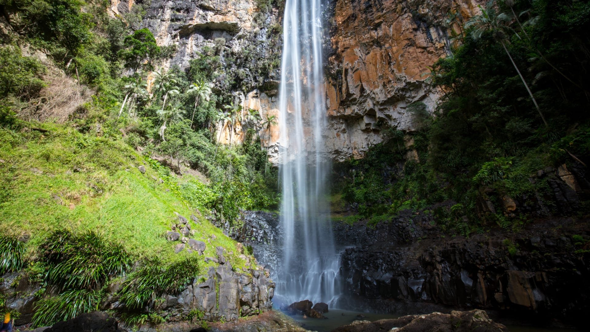 Purlingbrook Falls Gold Coast