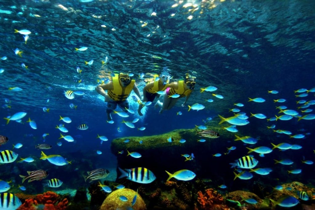 Rainbow Reef at Adventure Cove Waterpark