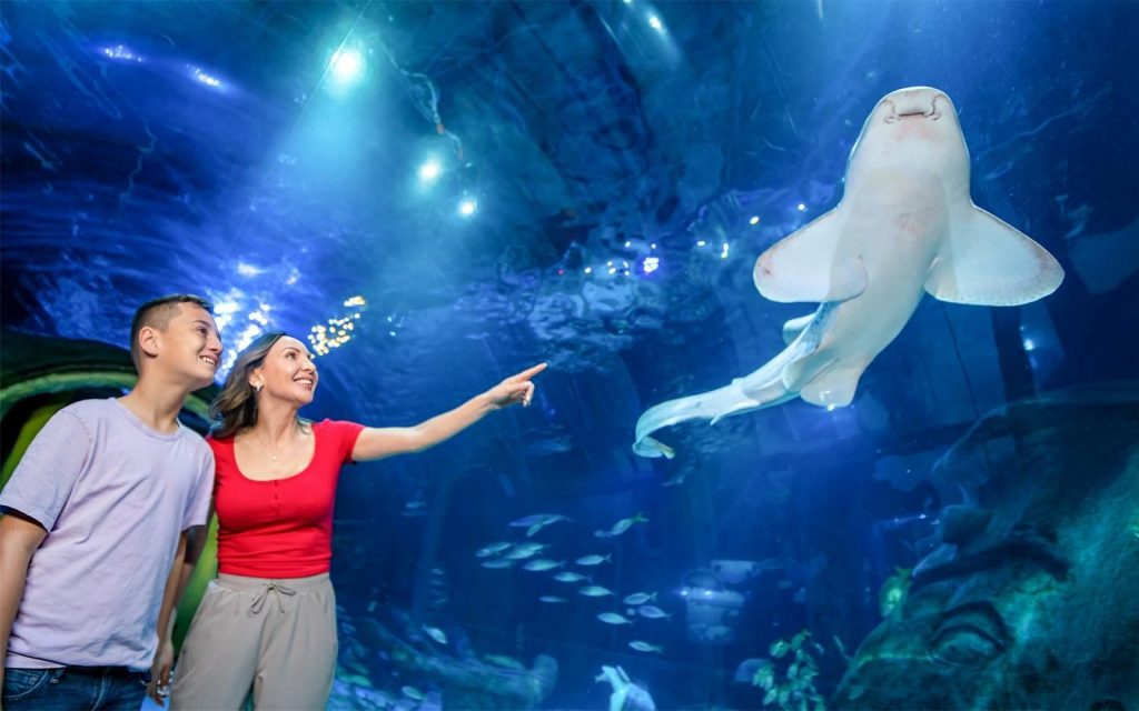 SEA LIFE Orlando Aquarium