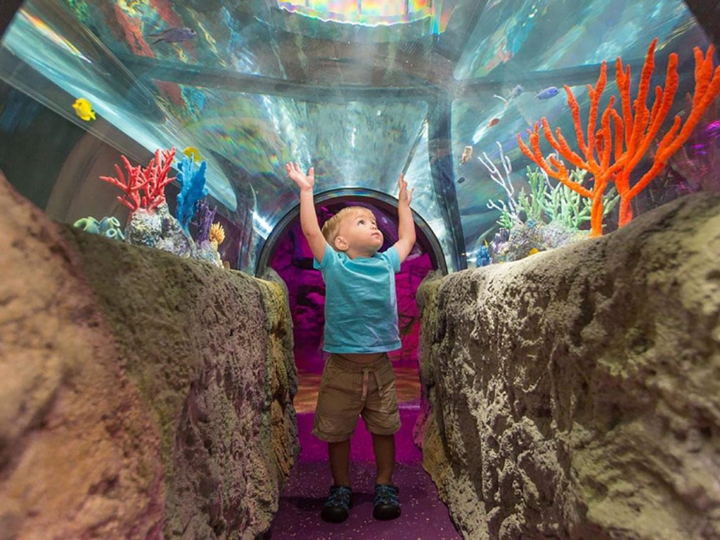 SEA LIFE Orlando Tickets