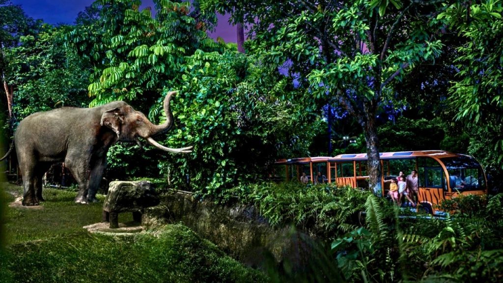 Singapore Night Safari
