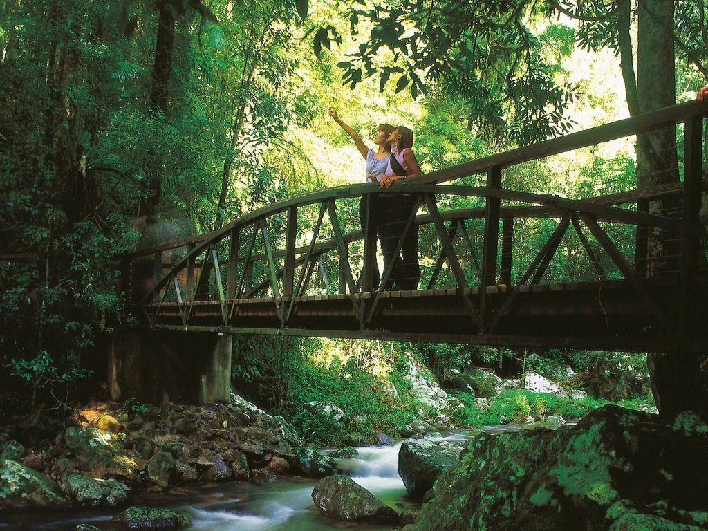 Springbrook National Park Gold Coast