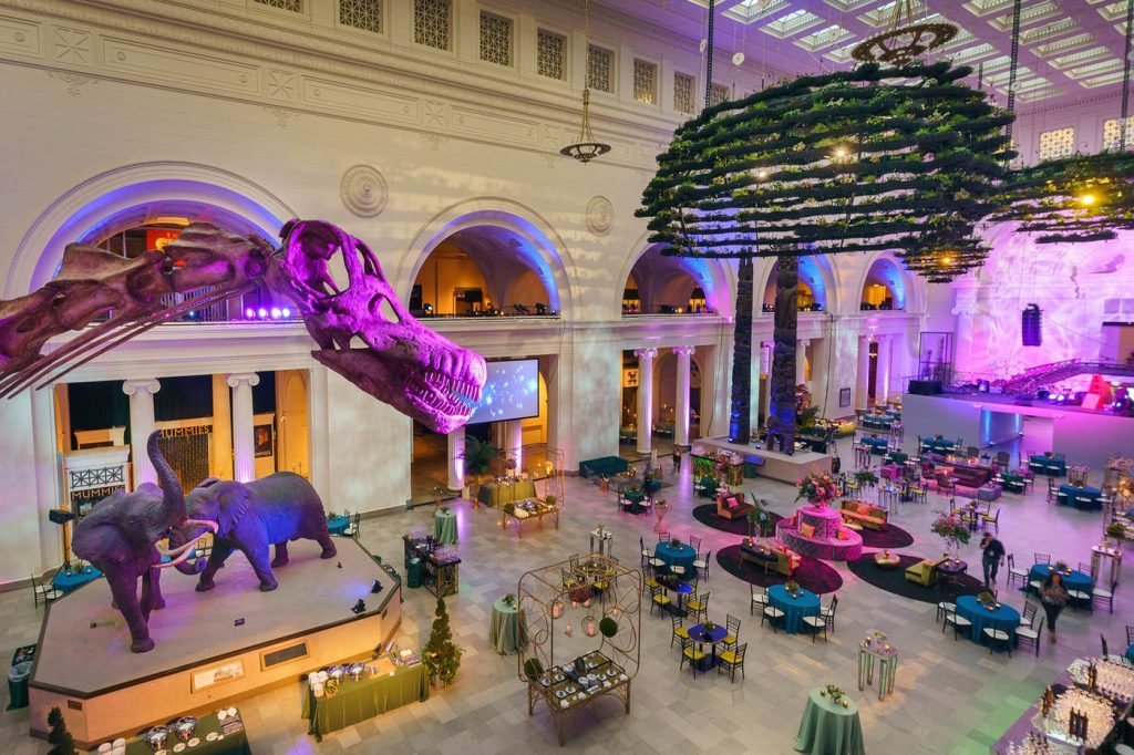 Stanley Field Hall at Field Museum Chicago