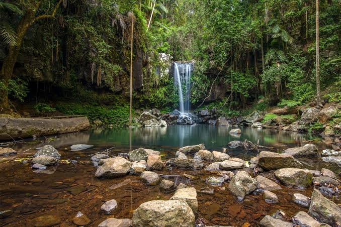 Tamborine Mountain Gold Coast