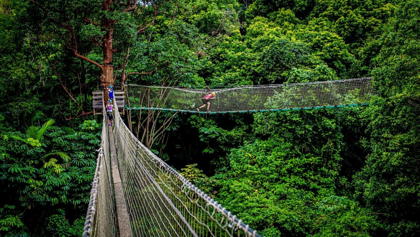 Tamborine Mountain Gold Coast