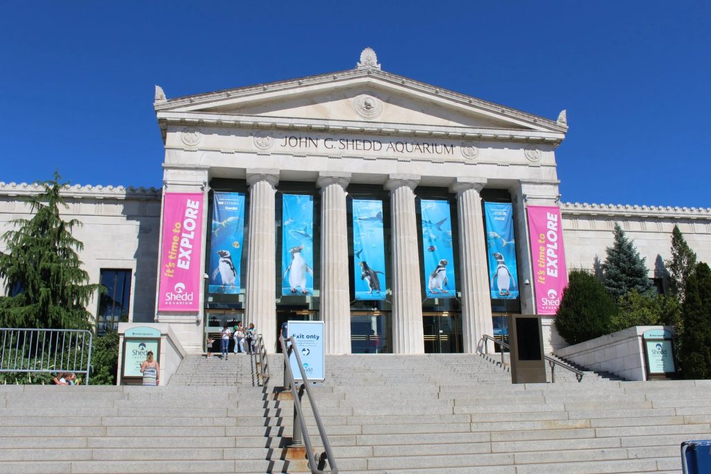 The Shedd Aquarium