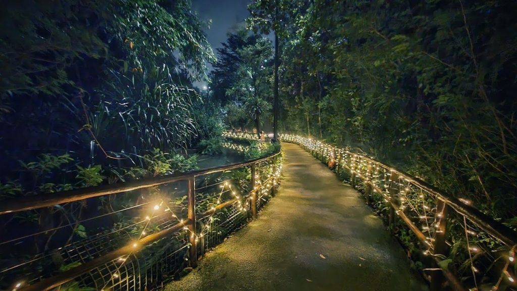 Trails at Singapore Night Safari