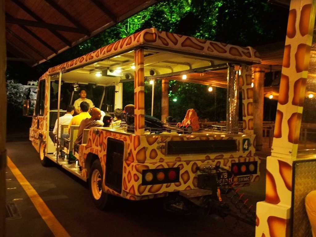 Tram Ride at Singapore Night Safari