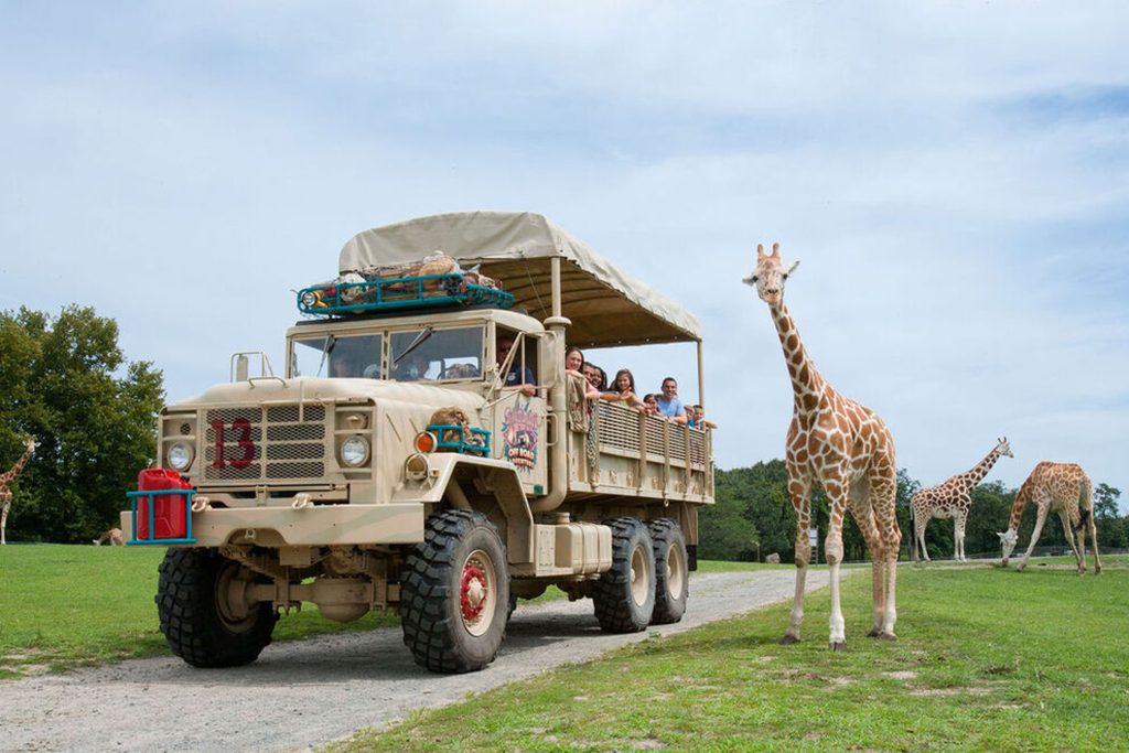 Wild Safari Off Road Adventure Six Flags Great Adventure