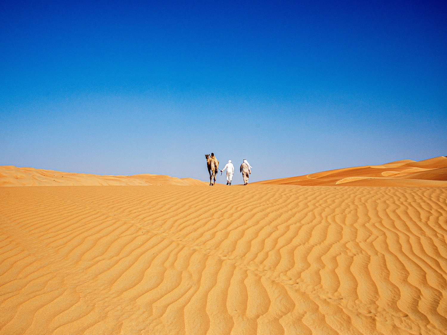 Abu Dhabi Desert Safari