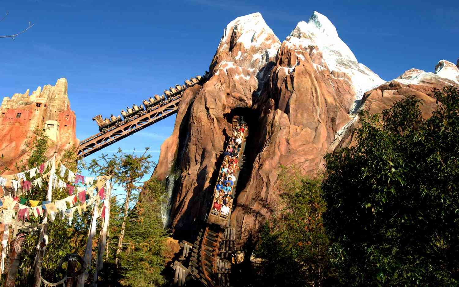 Animal Kingdom Disney Resort Orlando