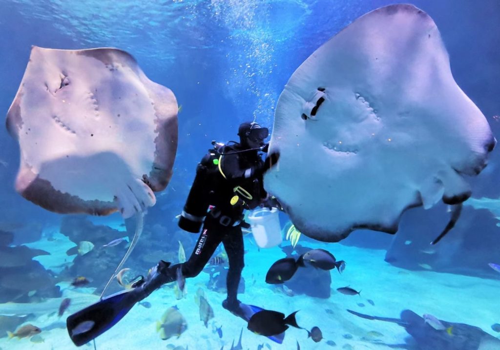 Aquaria Phuket