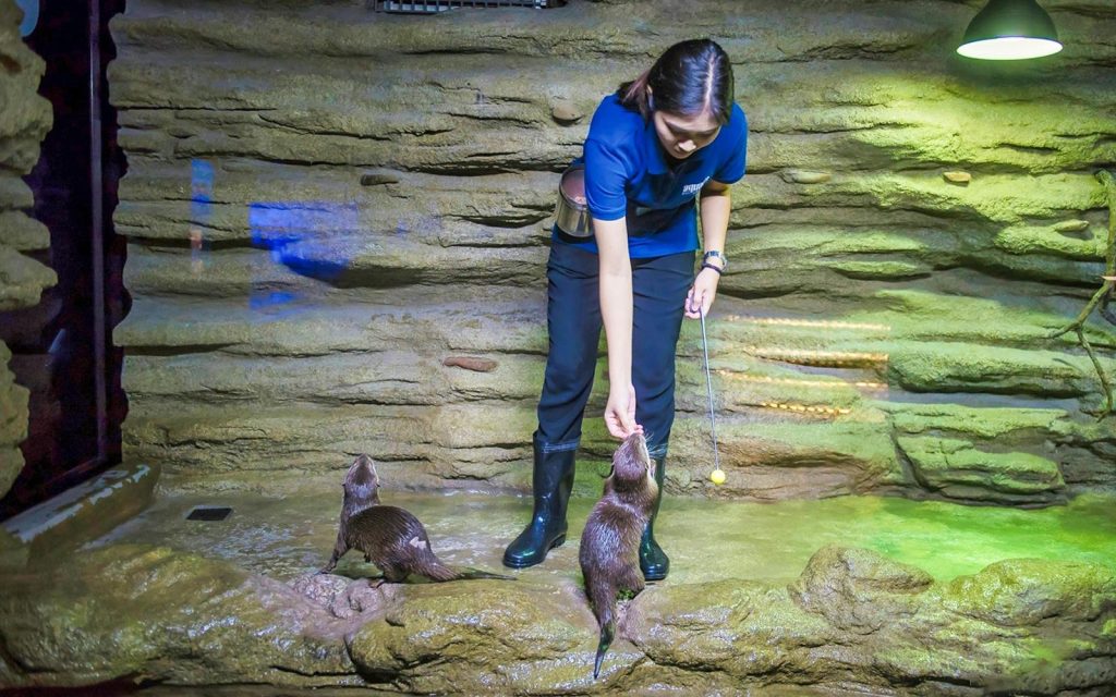 Aquaria Phuket Feeding Session