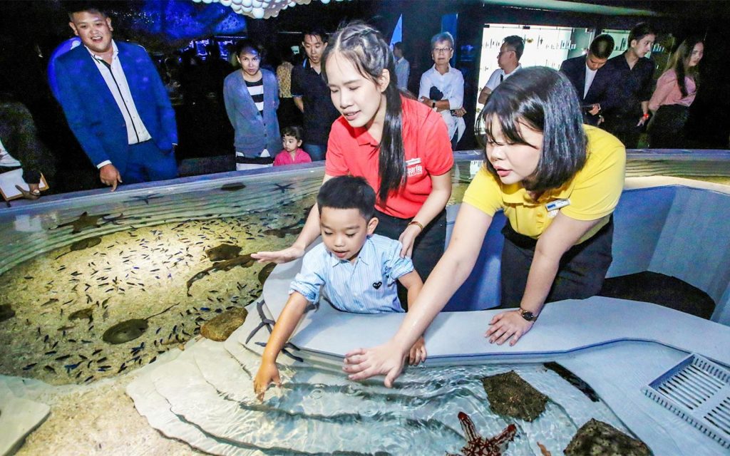 Aquaria Phuket Touch Pool