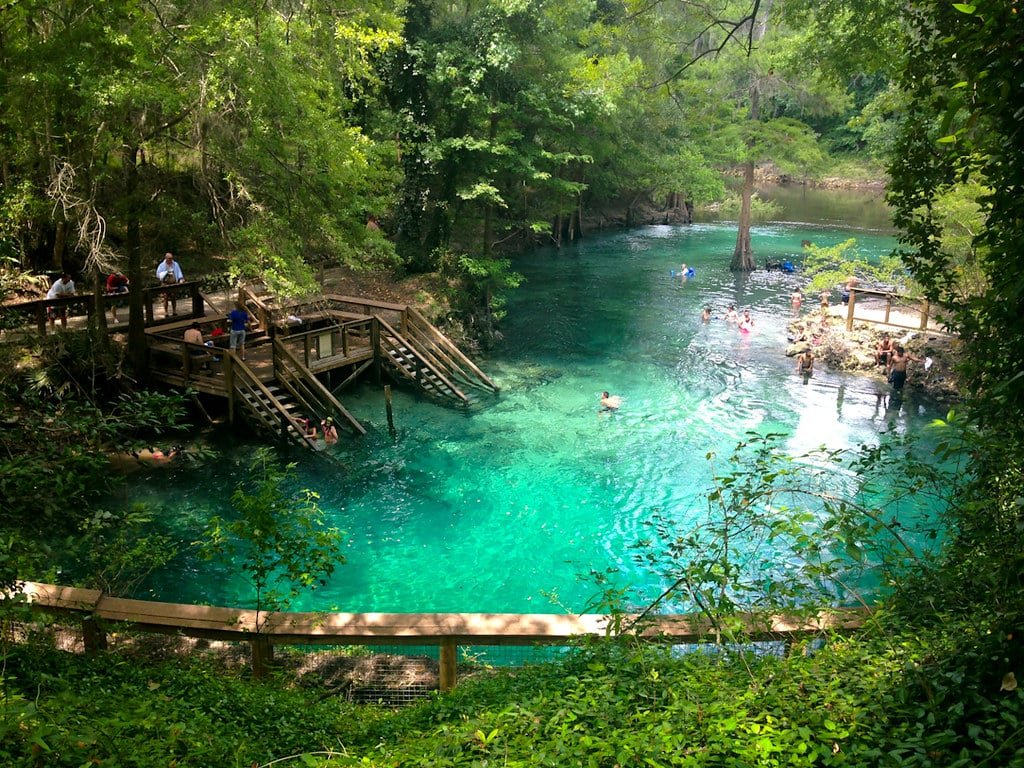 Blue Spring State Park Orlando
