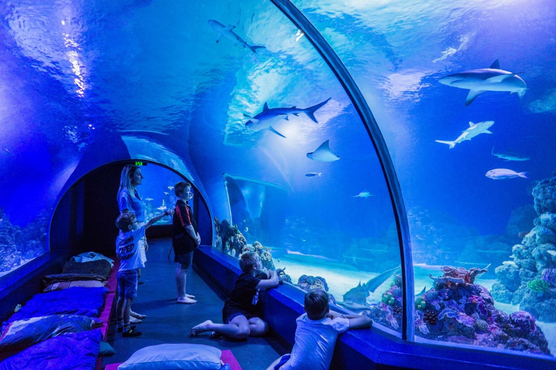 Cairns Aquarium