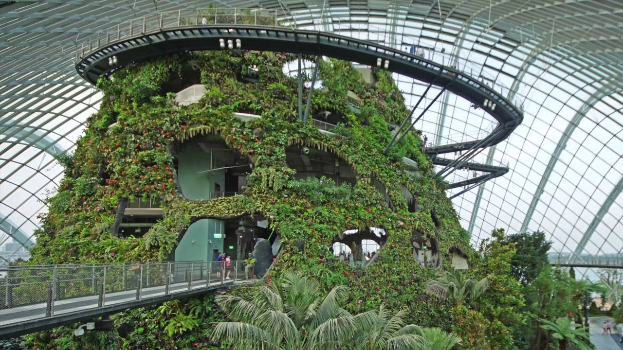 Cloud Forest Gardens by the Bay