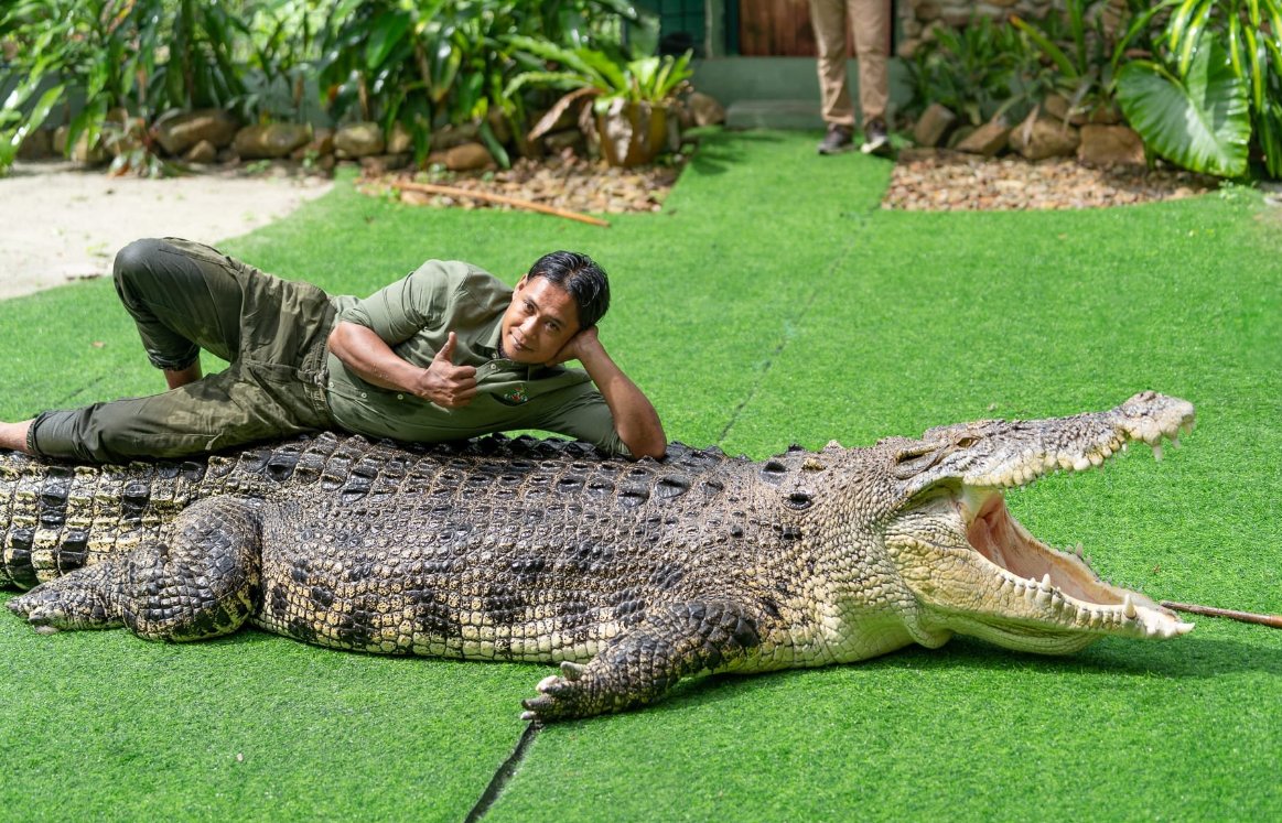 Crocodile Adventureland Langkawi