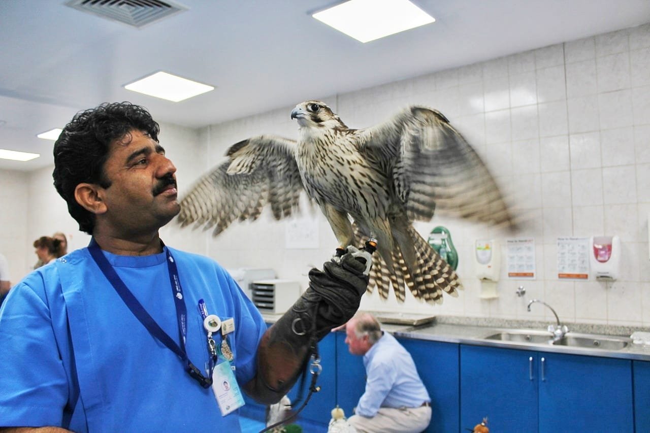Falcon Hospital Abu Dhabi