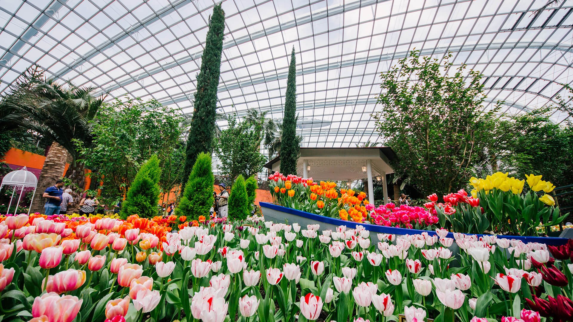Flower Dome Gardens by the Bay