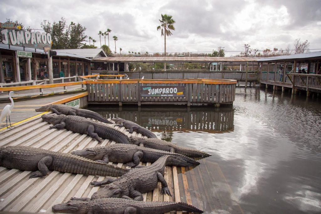 Gatorland Florida