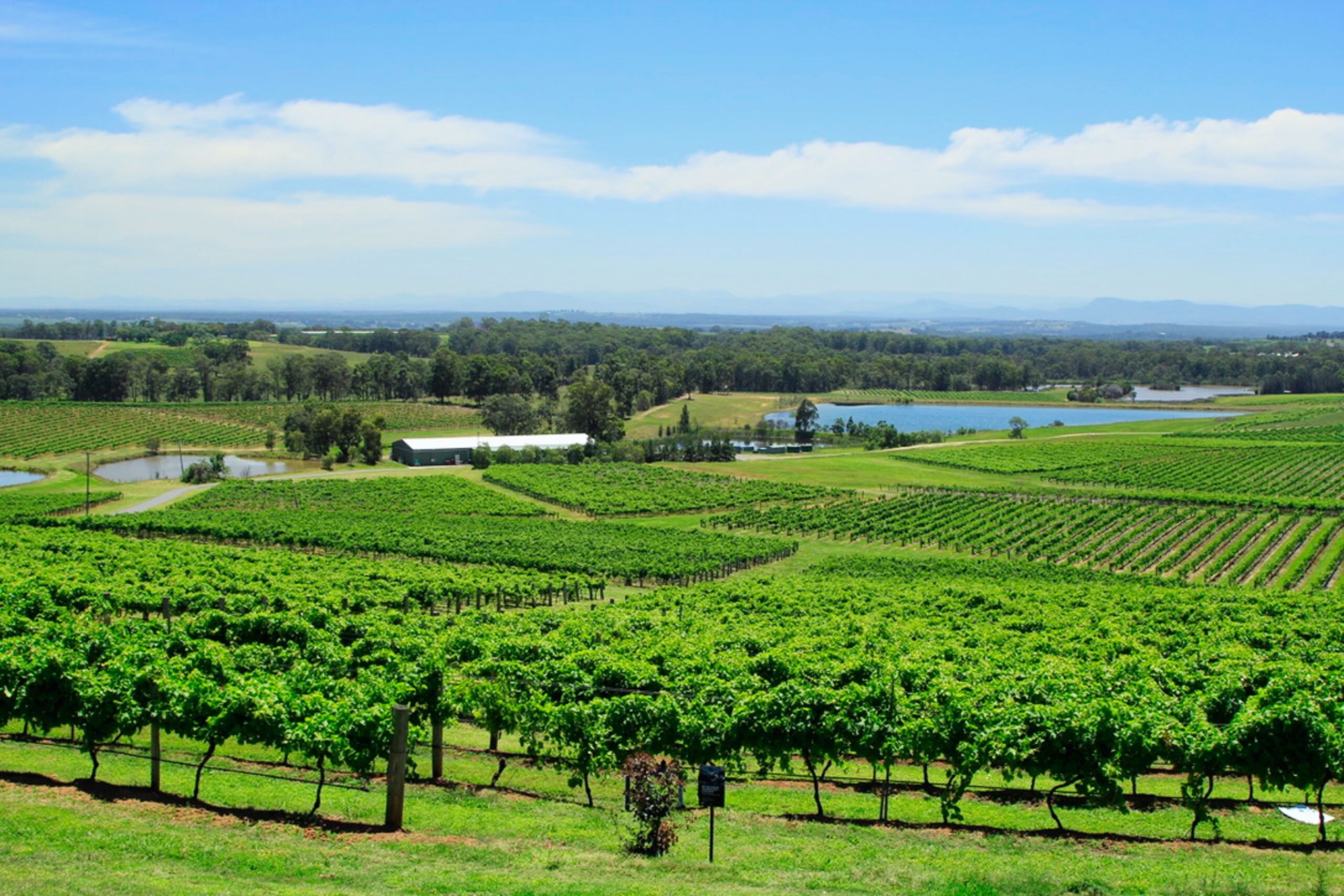 Hunter Valley Wine Country Sydney