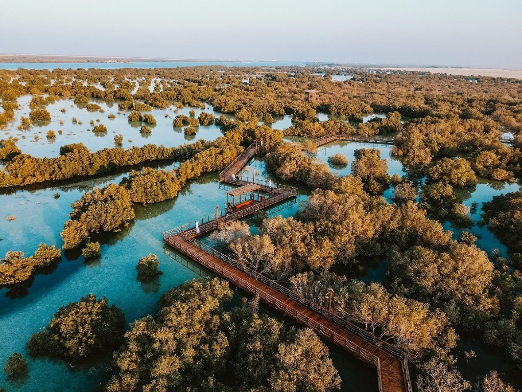 Jubail Mangrove Park Abu Dhabi