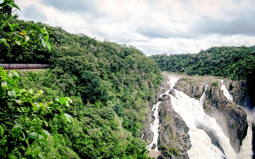 Kuranda Rainforest Cairns