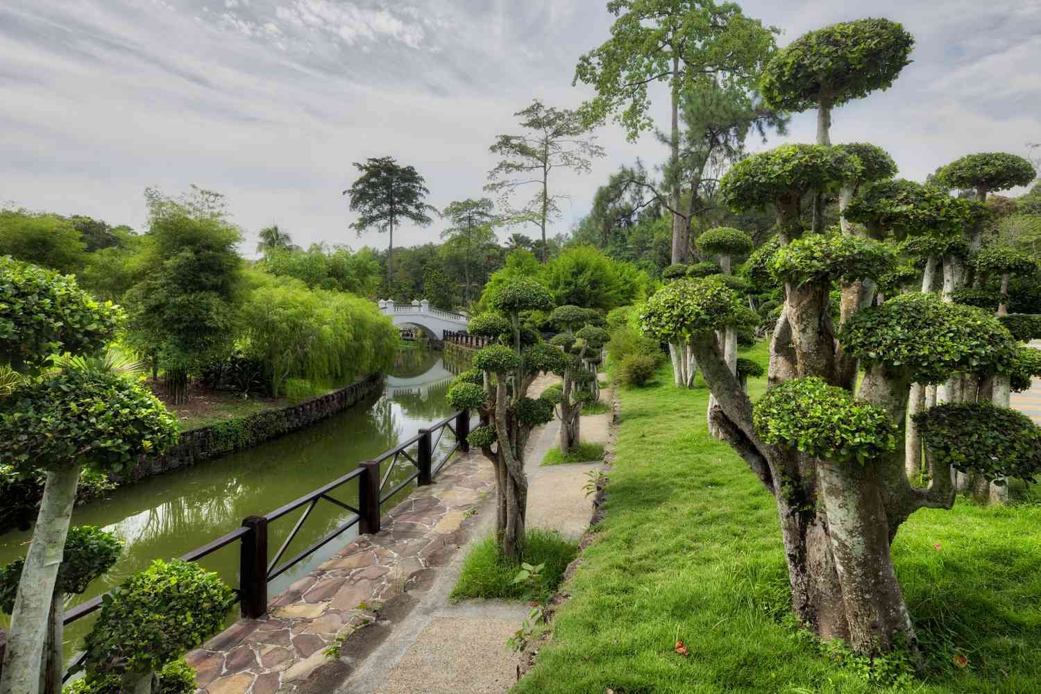 Lake Gardens (Perdana Botanical Garden) KL
