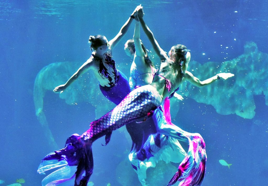 Mermaid Show Aquaria Phuket