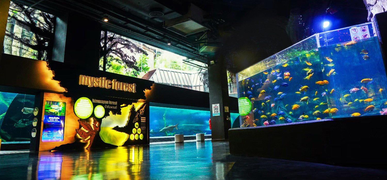 Mystic Forest Aquaria Phuket