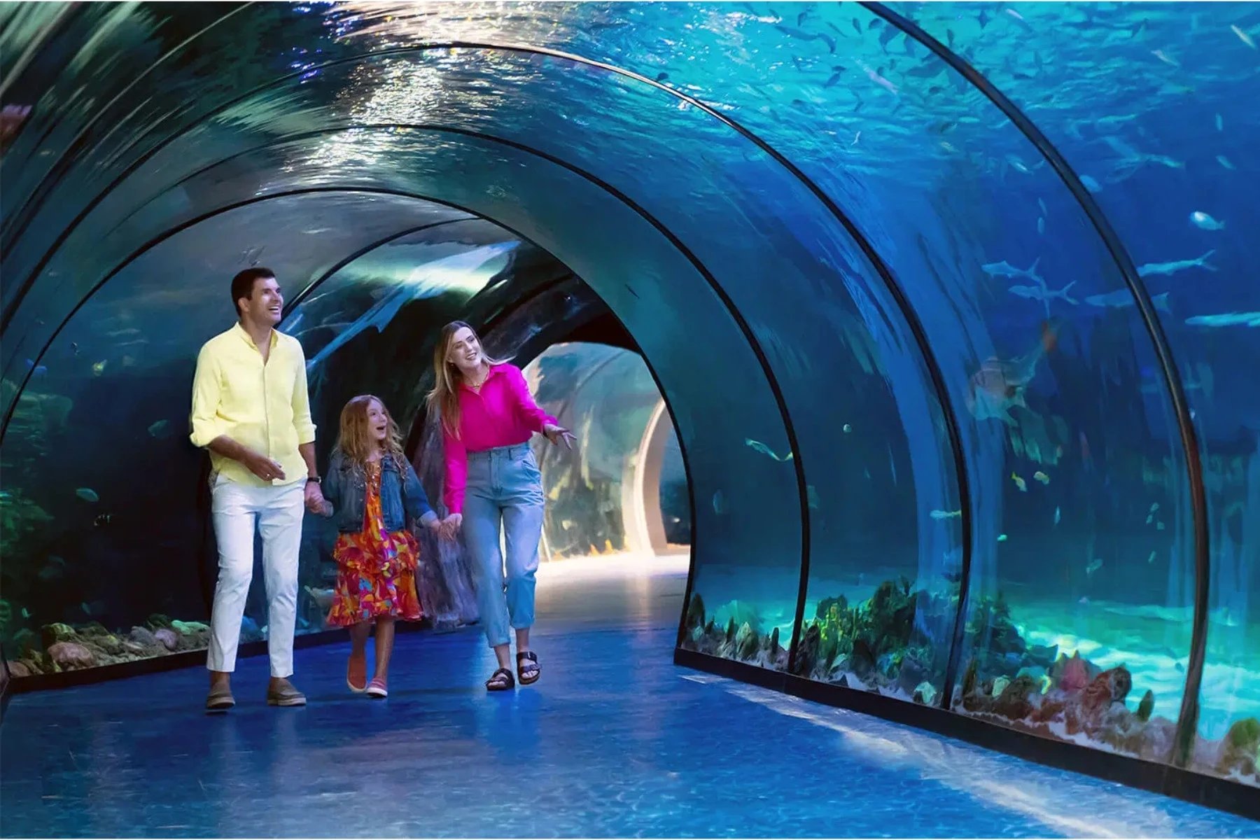 National Aquarium Abu Dhabi