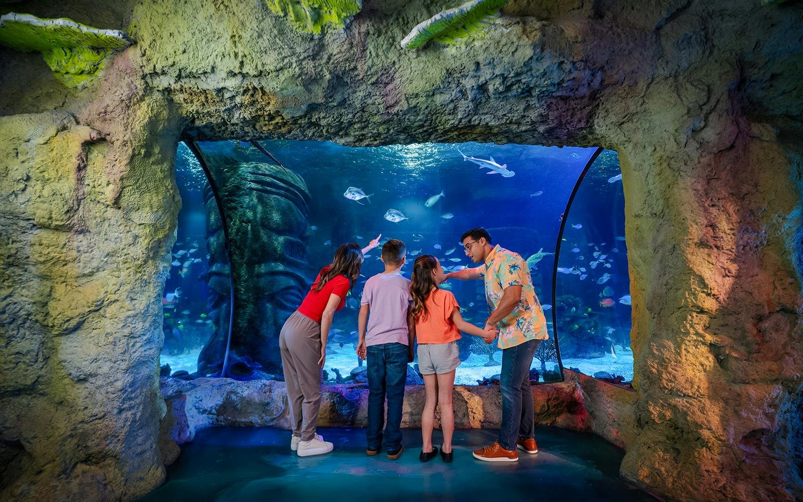 SEA LIFE Orlando Aquarium