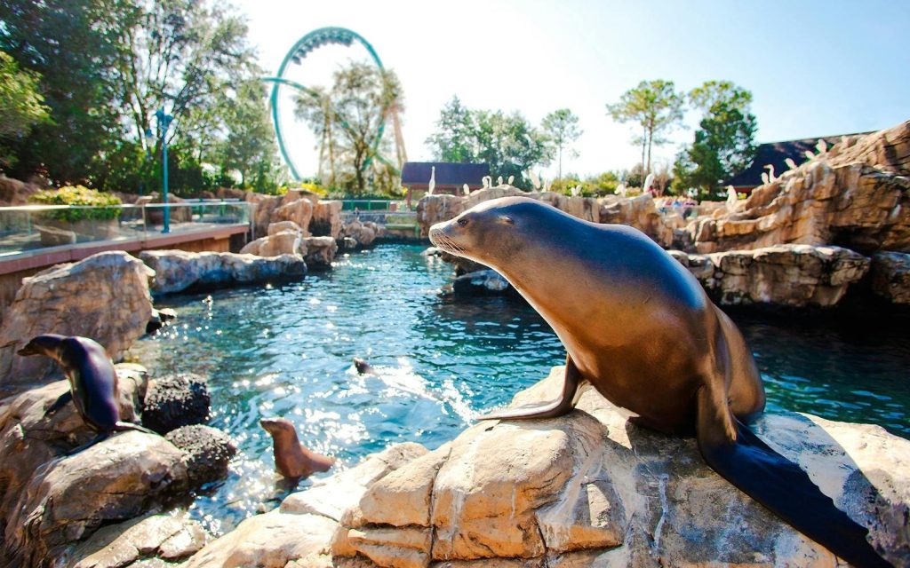 SeaWorld Orlando