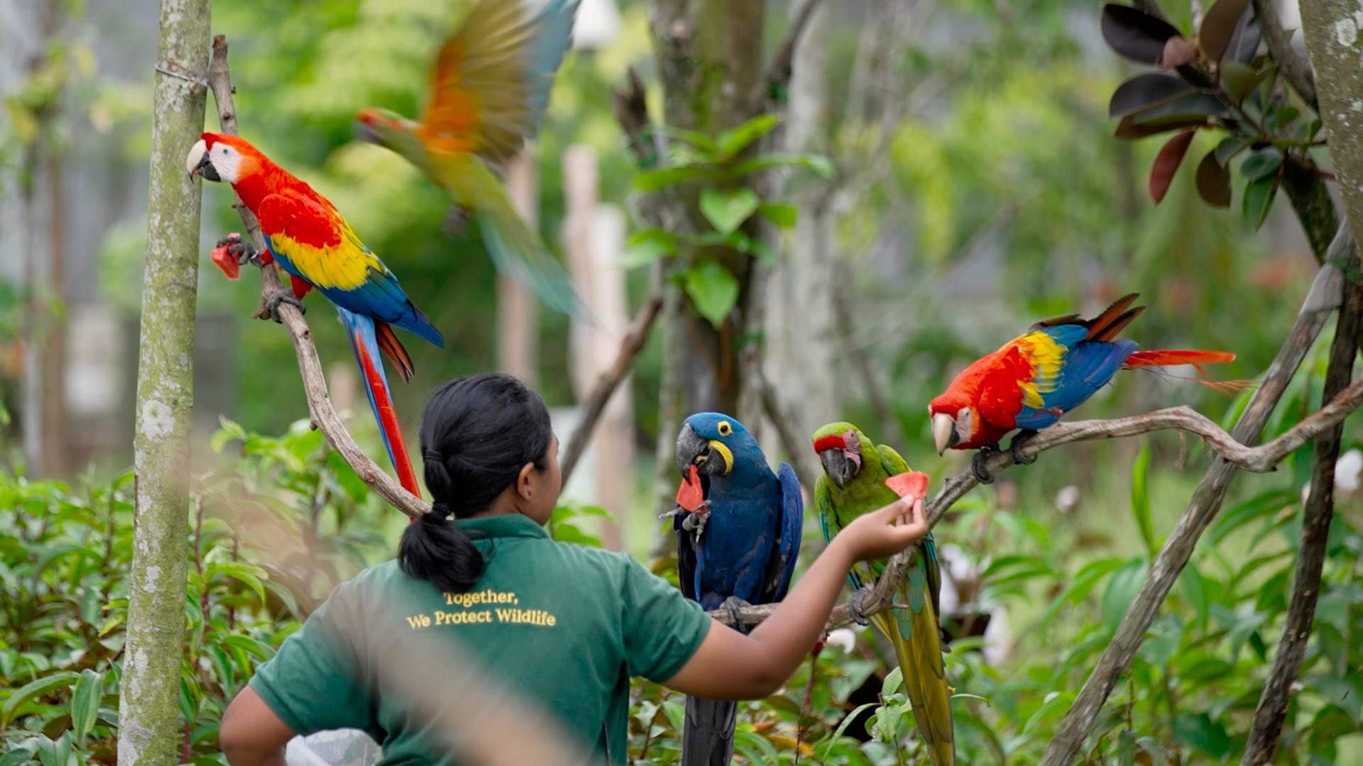 Singapore Bird Paradise