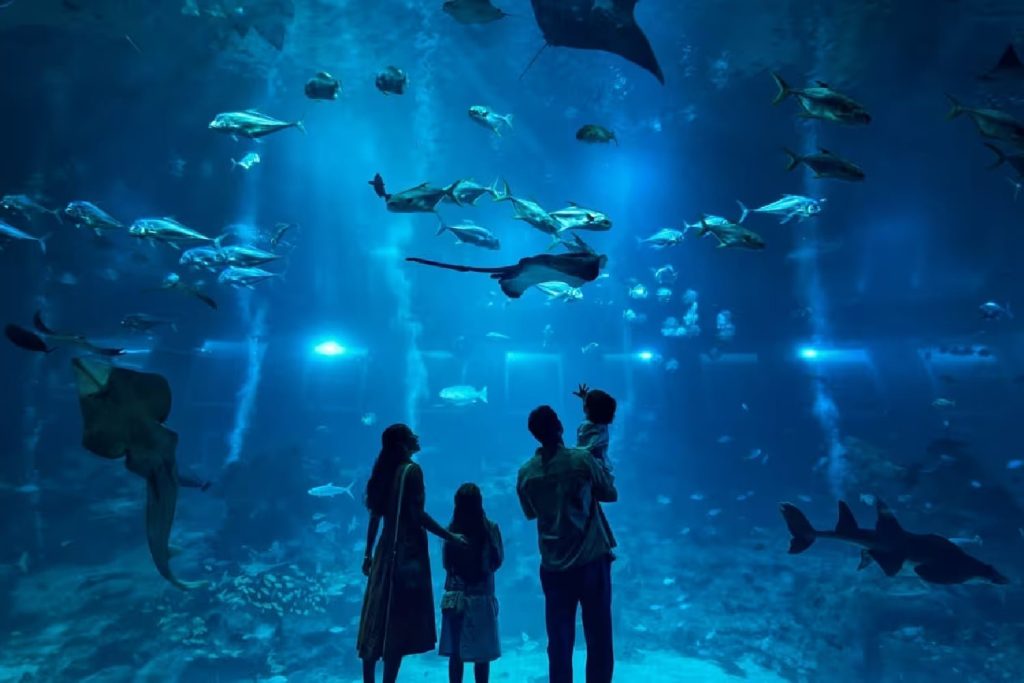 Singapore oceanarium