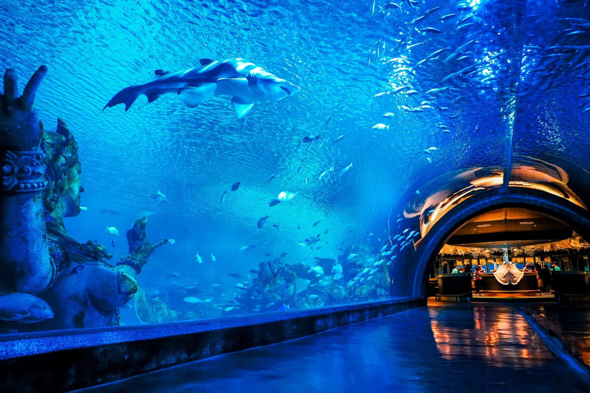 South China Sea Aquaria Phuket