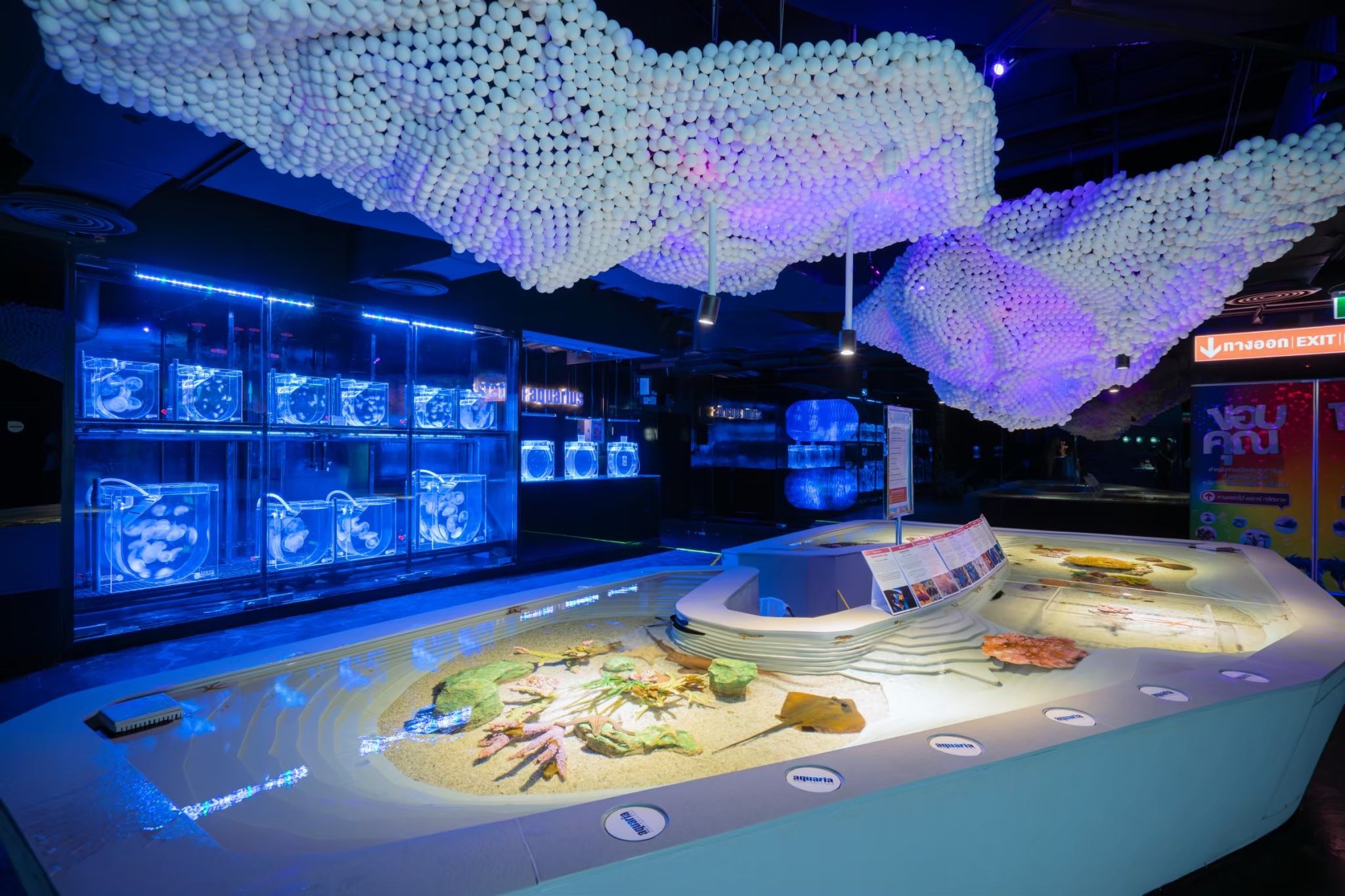 Station Aquarius Aquaria Phuket