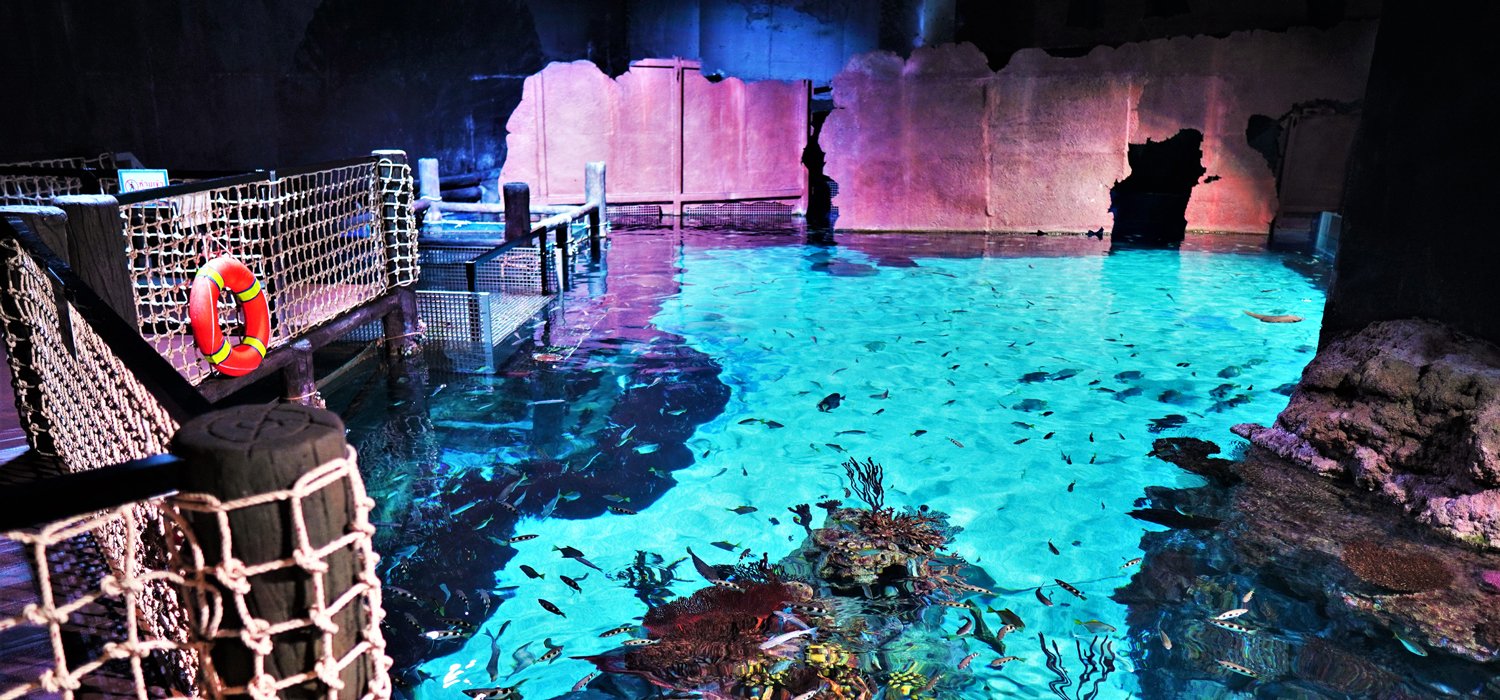 Stingray Bay Aquaria Phuket