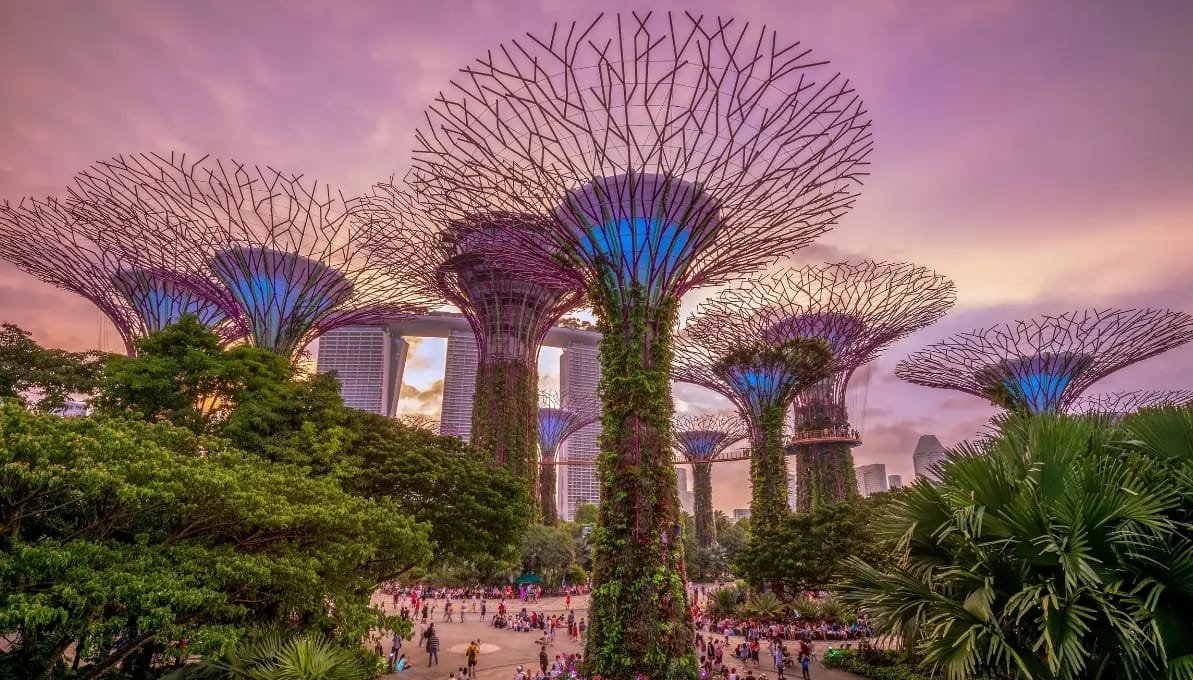 Supertree Grove Gardens by the Bay