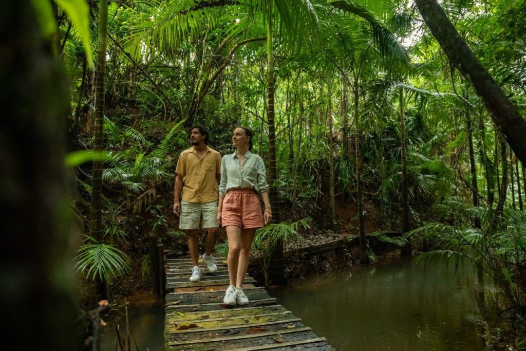 The Daintree Rainforest Cairns