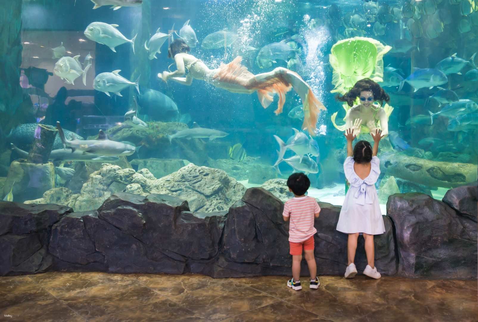 VinKe and Vinpearl Aquarium in Hanoi