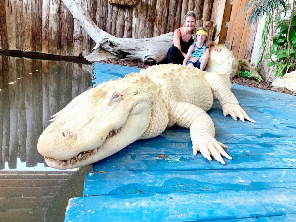 White Gators Gatorland