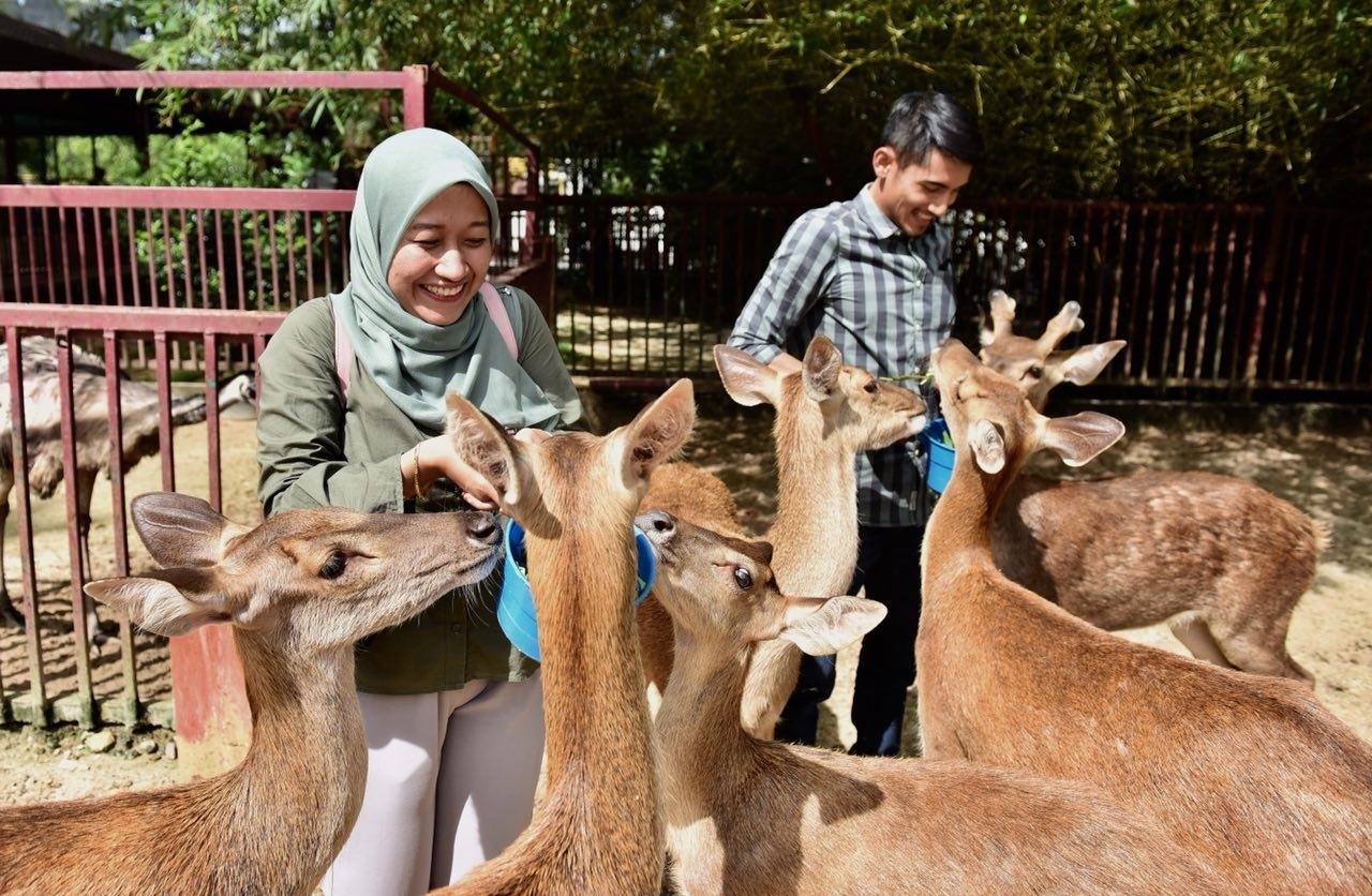Wildlife Park Langkawi