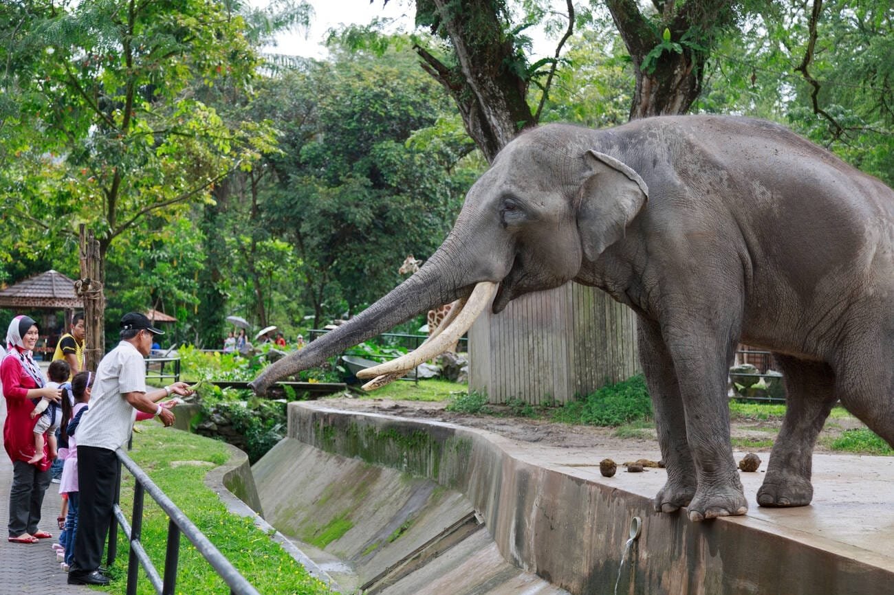 Zoo Negara (National Zoo of Malaysia) KL