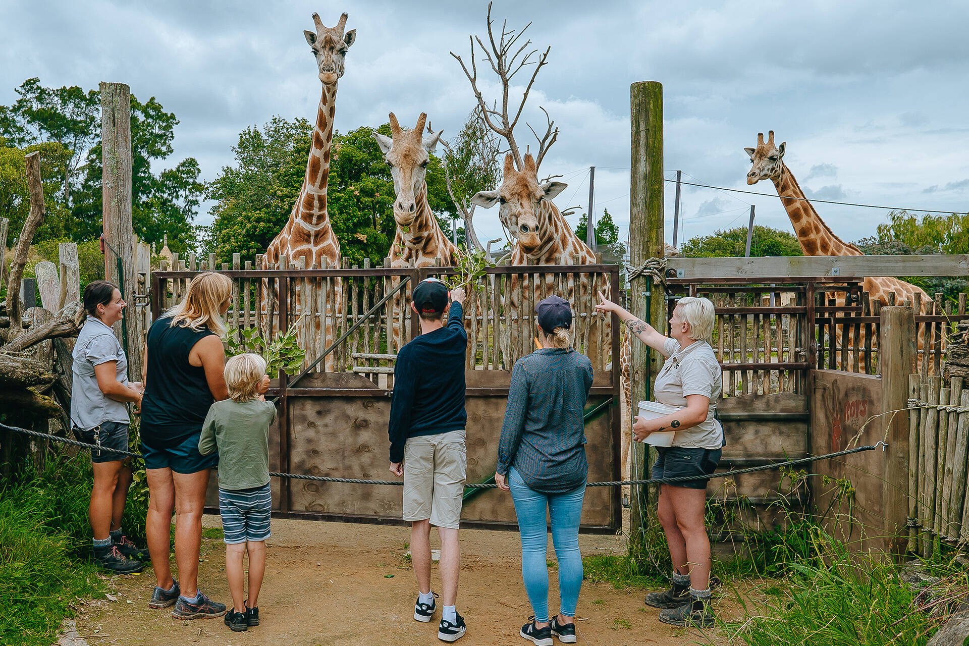 Auckland Zoo