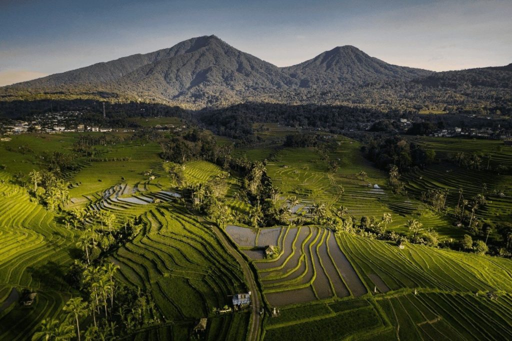 Jatiluwih Rice Fields, Bali