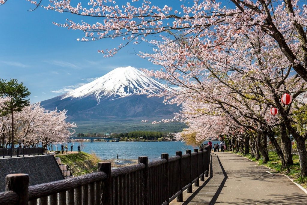 Mount Fuji, Tokyo