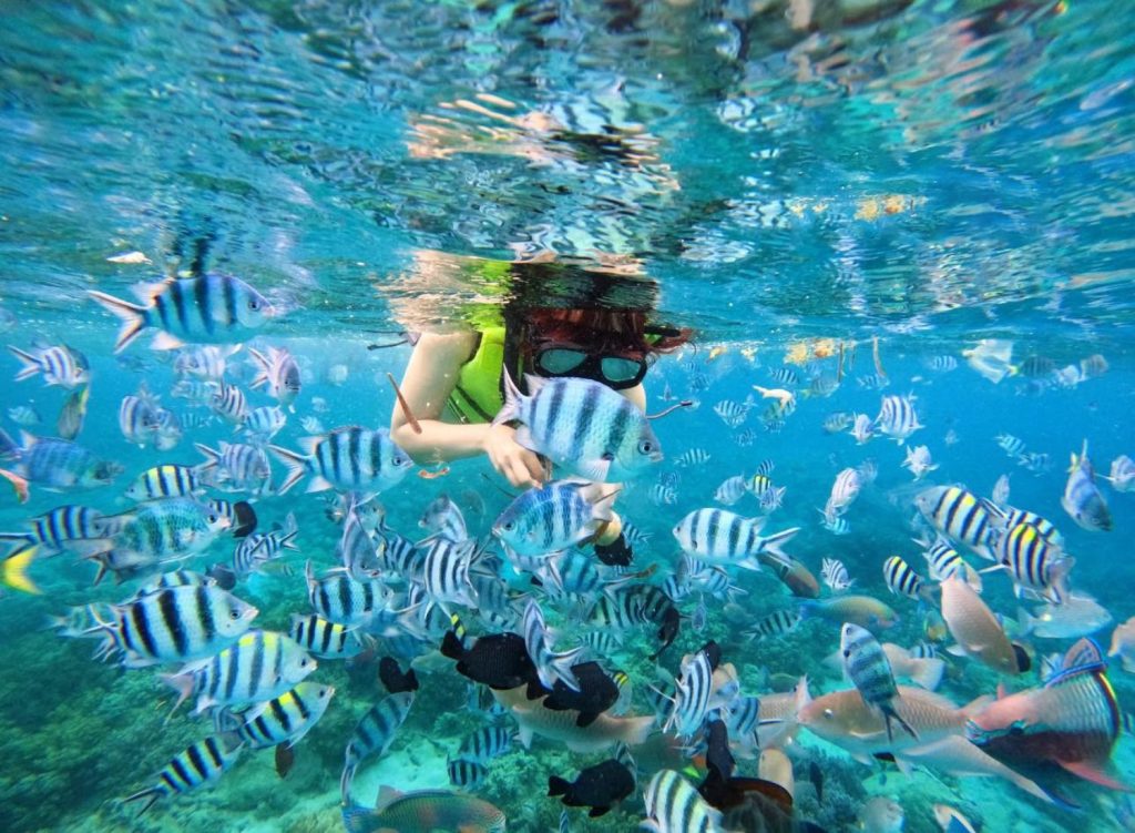 Nha Trang Snorkeling